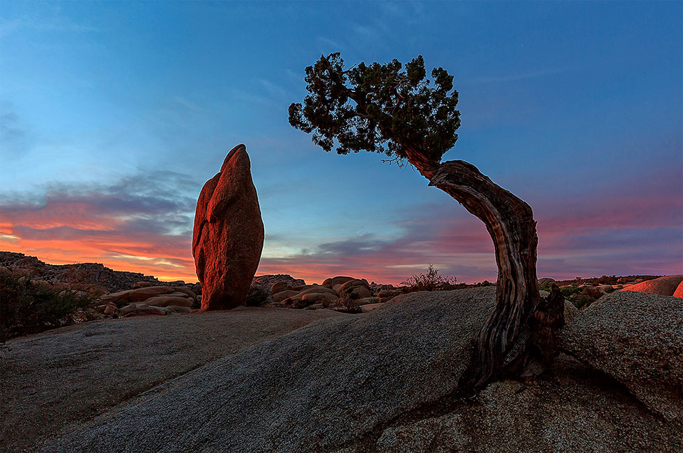 Lonely / Nguyễn Văn An / United States