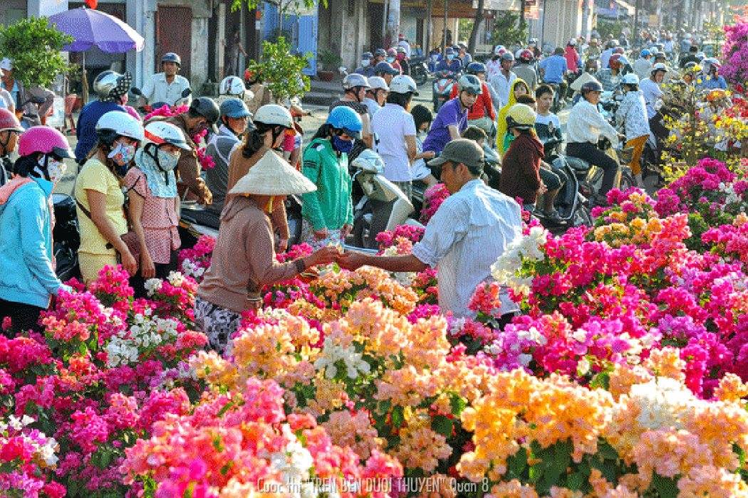 Giải KK: tác phẩm “Hoa xuân”, tác giả: Võ Thị Huyền Châu