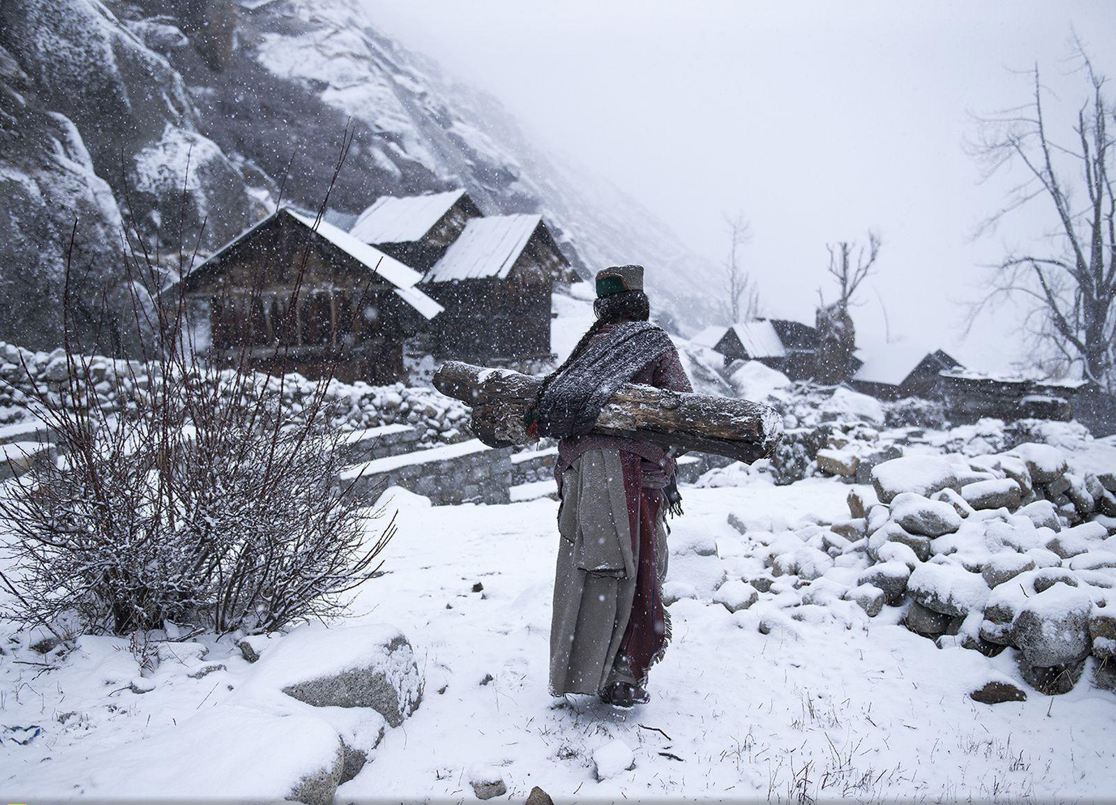 Lấy củi trong bão tuyết của nhiếp ảnh gia Mattia Passarini