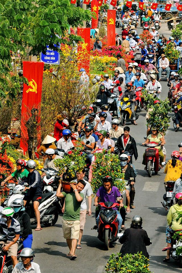 “Nhộn nhịp ngày xuân”, tác giả Ngọc Tuấn